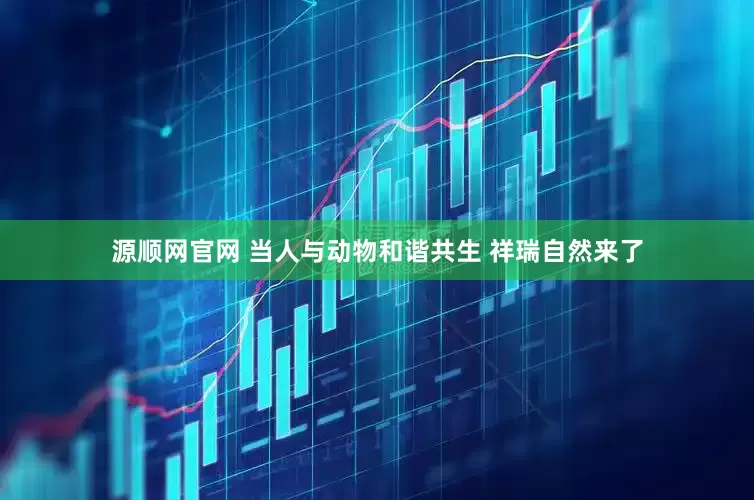 源顺网官网 当人与动物和谐共生 祥瑞自然来了